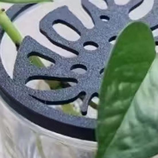 Pflanzschale Leichte Pflanzenanzuchtschale mit Blattgitter Sechseckiges Design Gartenbau Vermehrungswerkzeug