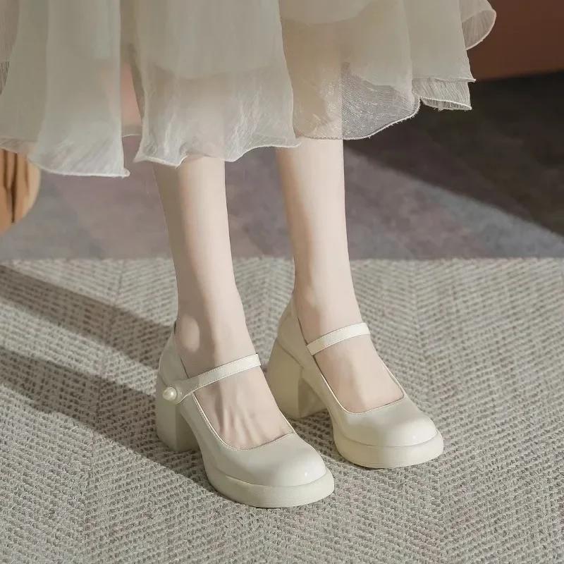 Fashion 2024 Brand Women's Shoes Buckle Strap Women's High Heels Fashion Round Toe Dress Pumps Women Hot Sale Shallow Mary Jane Shoes
