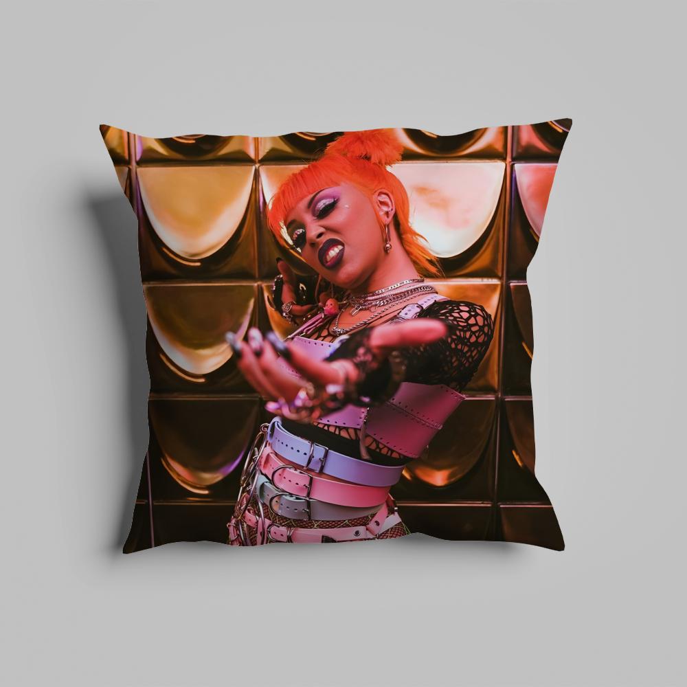 Pillow Case luxurious home office, sofa decorative Multi sized car seat cushions, pillowcases Singer D-Doja C-Cat