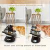 Elevated Pet Feeder with Double Bowls for Food Water, Anti-Vomit Design Dogs Cats Pet Treats Bowl