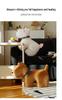 Cross-border New Collar Dog Pillow - Cute Toy Sofa Doll & West Highland Home Decoration