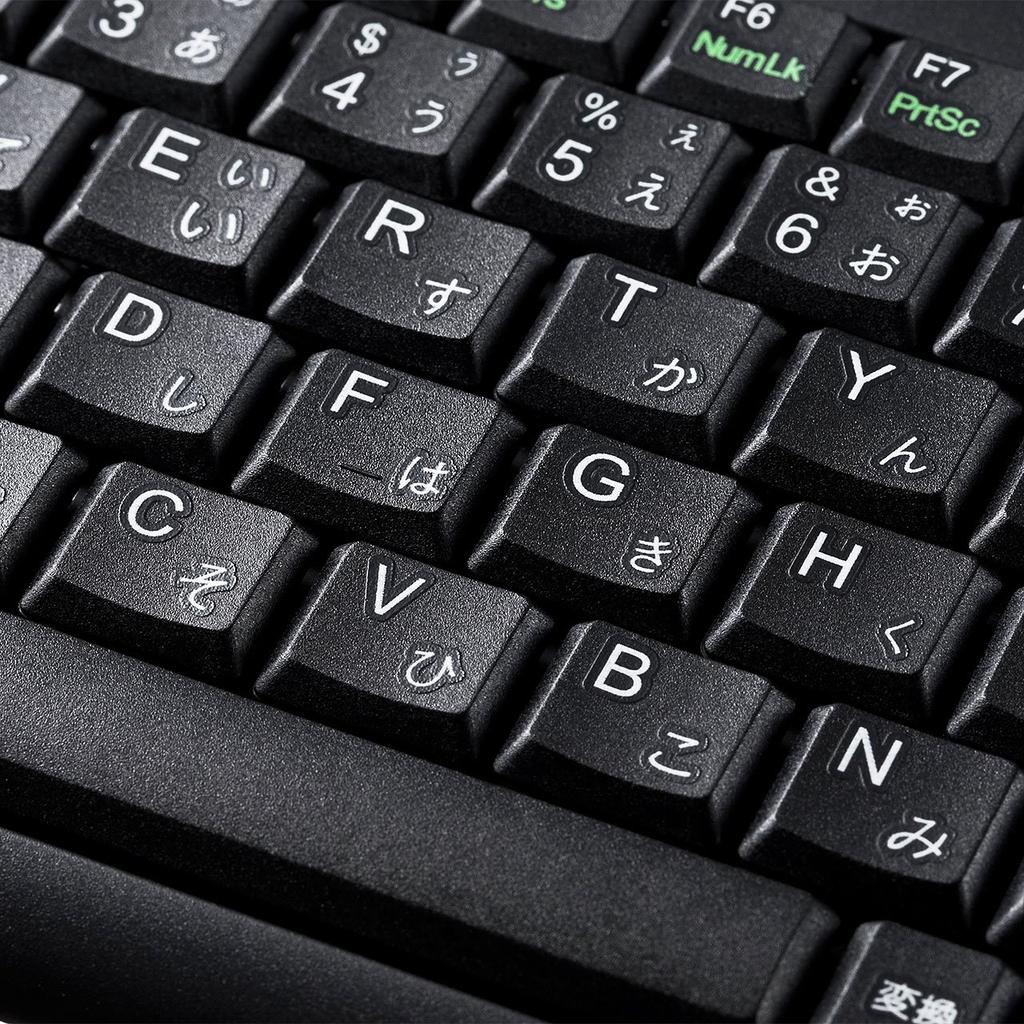 Sanwa Supply Mini & Slim USB Keyboard with Pantograph, No Numeric Keypad, Black, SKB-SL28BK