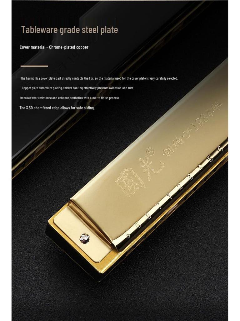 28-Hole Tremolo Professional Harmonica, 24-Hole Accent - Perfect for Adults, Beginners, and Students As an Introductory Musical Instrument