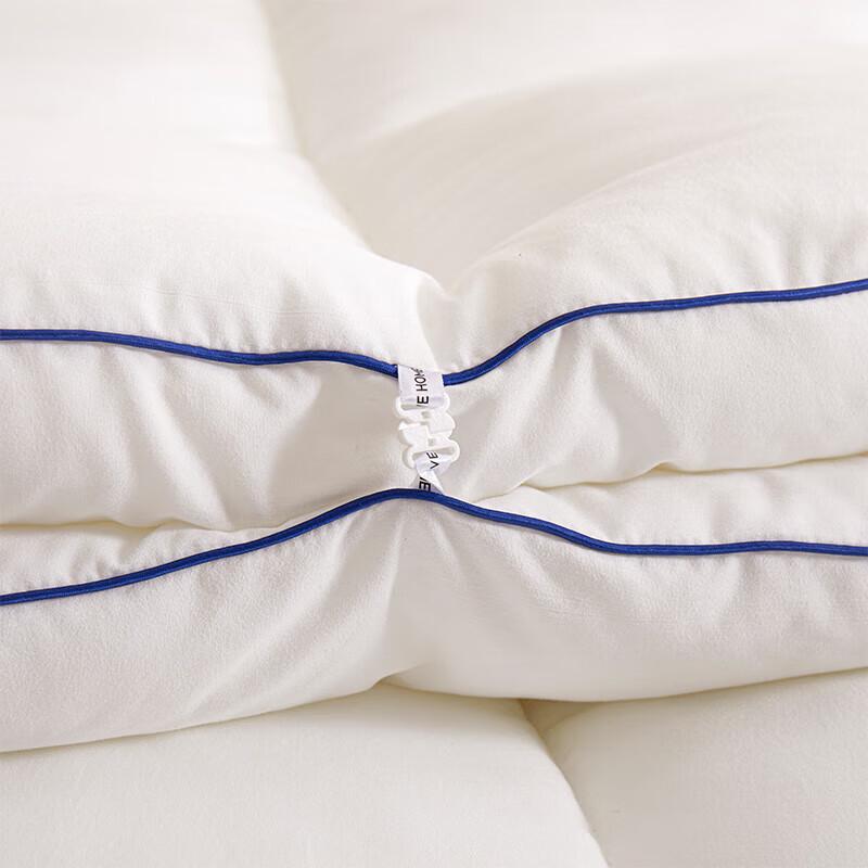 Heilan Home Antibacterial Soy Fiber Winter Quilt