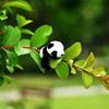 Plüschpanda Magnet Weicher Kühlschrankaufkleber Baumwoll-Accessoire Niedlich Für Kühlschrank Dekoration Kinderzimmer Dekoration Panda-Liebhaber'