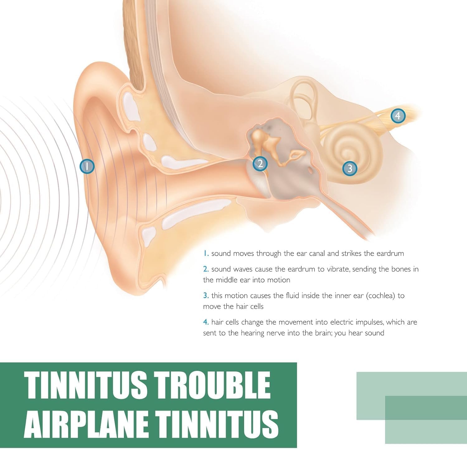 EarCare Натуральная добавка для ухода за ушами Травяная формула для ежедневного здоровья ушей Поддерживает здоровье ушей, четкость слуха, равновесие и уменьшает дискомфорт в ушах N beige