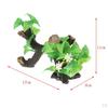 on Driftwood Freshwater Live Aquarium Plant Decorations Tank