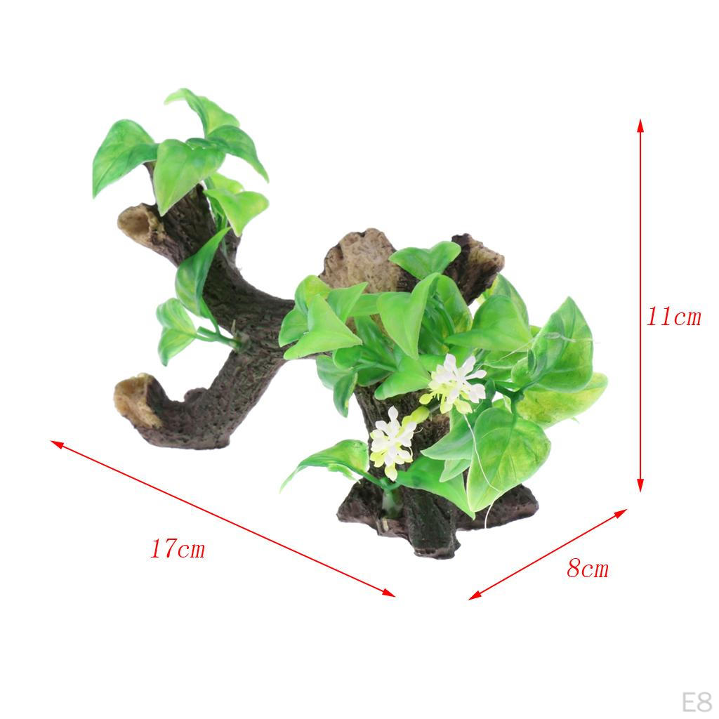 on Driftwood Freshwater Live Aquarium Plant Decorations Tank