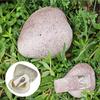 Yousheng Garden Fake Stone Key Hider Storage Box Outdoor Yard Lawn Simulated Rock Resin Statue Decoration House Spare Key Secret Holder Container