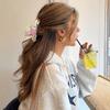 Hairpin Wild Goose Shark Clip Vintage Acetate Shark Clip Fashion Bird Hair Claw  Wash Face