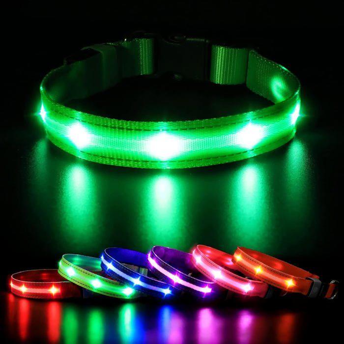 Collier lumineux pour chien - Protect Dog - Taille S - Étanche - Rechargeable - 800m visibilité