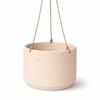 Beige Hanging Flowerpot for Interiors and Balconies