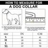 Gold Dog Collar with Safety Buckle, Heavy Duty Chewable Stainless Steel Link Collar (Gold, 20")
