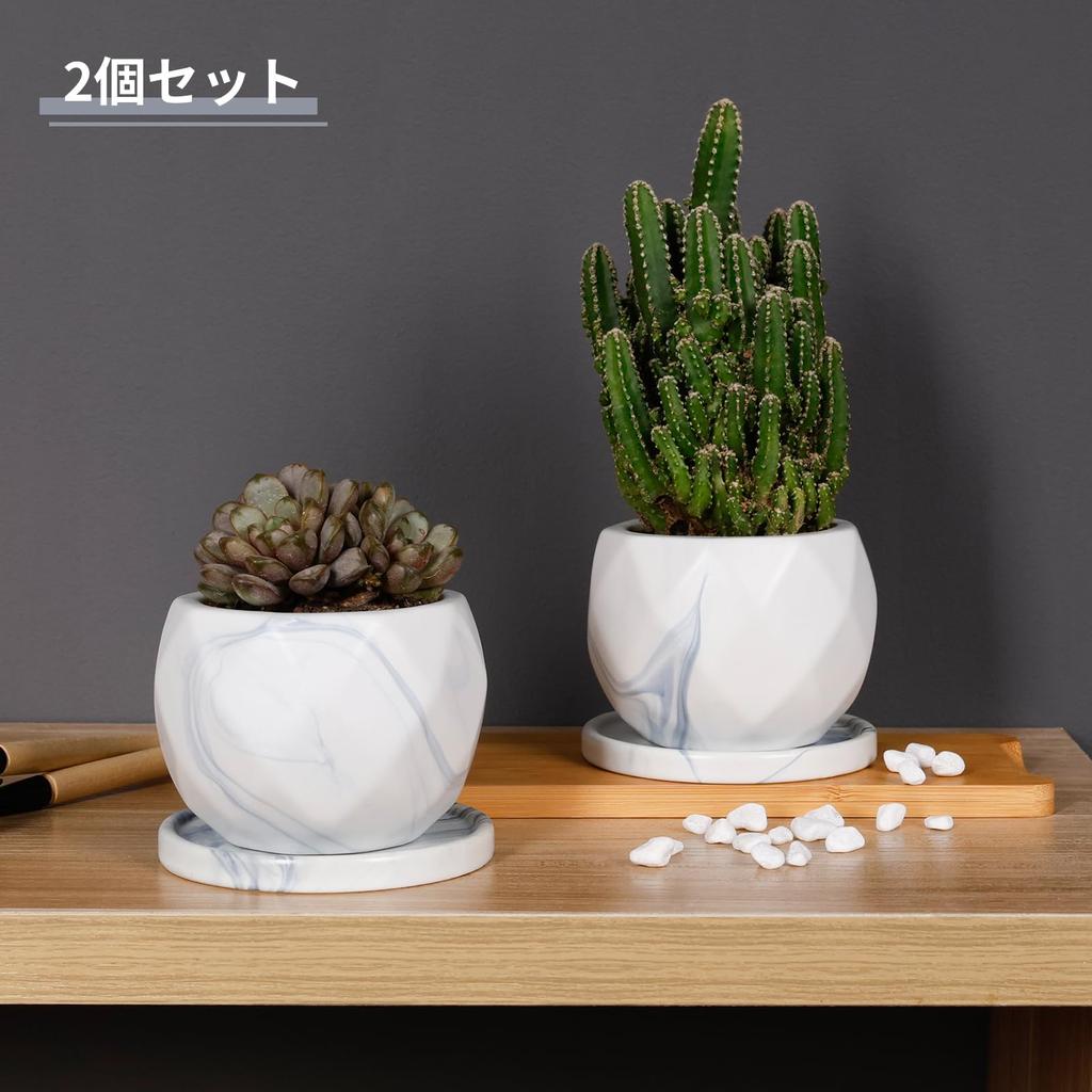Umlaca Flower Ceramic Mini Flower Pot with Drain Cactus Ceramic Tray Pot Bottom Net No Plants Pot, Pot, Small, Hole, Pot, Stylish, Included, Included,