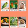 Portable Warm Parrot Carrier Bag Windproof Thicken Bird Travel Cage with Window Large Space Hamster Outdoor Bag Pet Supplies
