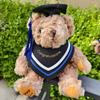20CM Cute Doctor Bear Plush Toy Soft Graduate Plush Dolls Creative Graduation Bear  Graduate Gift