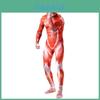 Halloween Full Body Suit Attack On Titan Skeleton Muscle Lycra Spandex Jumpsuit For All Sizes