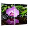 Glass Protective Hob Panel 2x30x52 Orchid