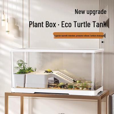 Peces y mascotas acuáticas – Decoración de peceras