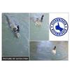 MEREDITH Package Lead Fishing Lure 23g 9cm Long Tail Soft Octopus Artificial Silicone Soft Bait