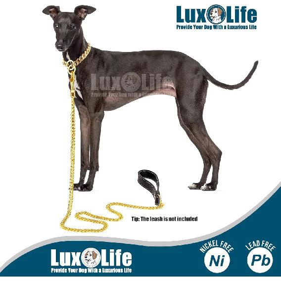12mm Gold Cuban Link Dog Collar - Stainless Steel Chain Collar with O-Ring Lock for Small, Medium & Large Dogs - Adjustable Heavy Duty Pet Walking
