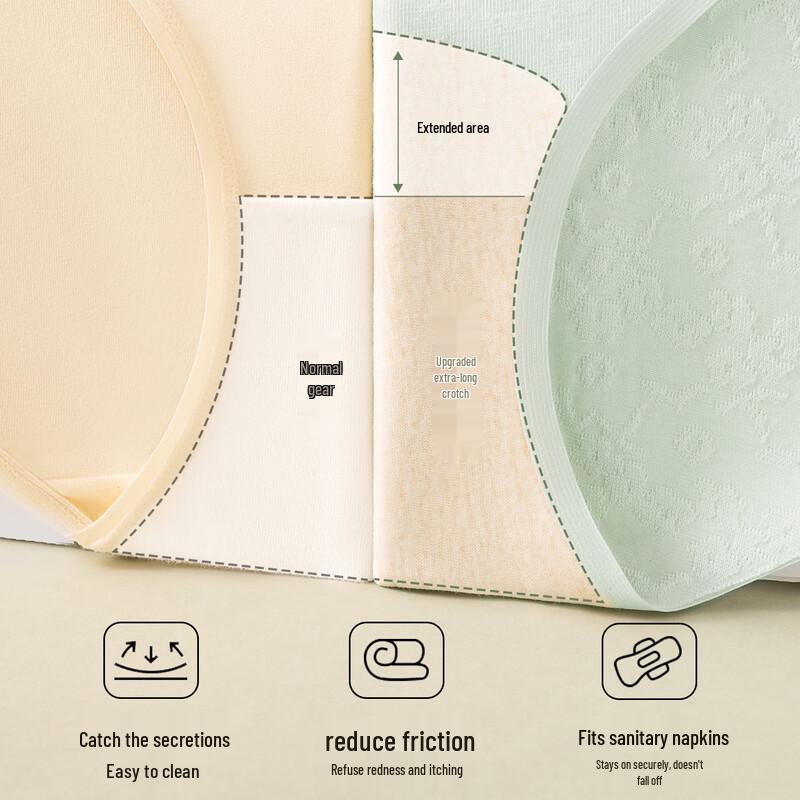 Miiow Women's Organic Cotton Antibacterial Seamless Briefs