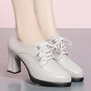 2026 new women's shoes spring and autumn single shoes women's high heels sub-lace-up women's leather shoes