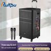 Runpu 15-inch 3-Way Portable PA System with Microphone (CN Version)