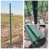 Schwalbenschwanz Drahtgeflecht Säule: Verstärkte Obstplantagen- und Autobahneinzäunung