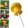 Pest Control Drosophila Catcher Piège de fruits de fruits en plastique pour orchard (pas d'attrayant)