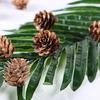 20Pcs Artificial Pine Cone Attractive for Garden Convenient Decorative DIY Simulation Pinecone Novel Vivid Natural