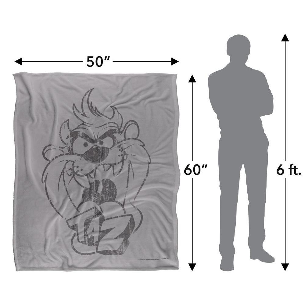 Looney Tunes Faded Taz Blanket