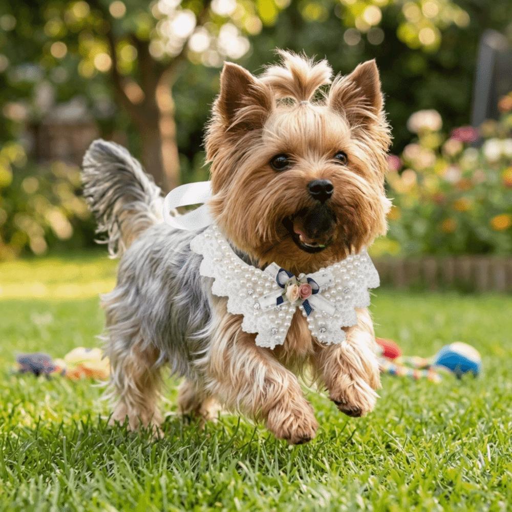 Bow Shape Pet Necklace Soft Liner Dog False Neck Band Pearl Bow Neck Band  Small Medium Breed