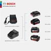 Bosch 18V Power Tool Battery & Charger CN plug (adapter included)