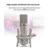 Top Studio Metal U87 Condenser Microphone Professional Cardioid Studio Mic for Recording Podcasting Voice Over Streaming Home  A