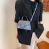 Spring new retro commuter small square bag handbag bag fashionable personality beautiful messenger bag women