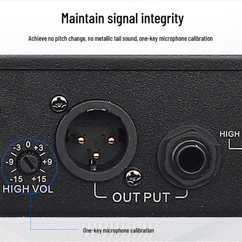 Hong Shi Dao Professional Digital Feedback Suppressor & Audio Processor (CN version)