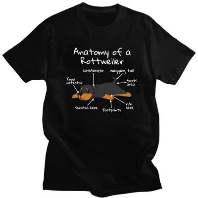 Anatomy Of A Rottweiler Tshirt Men Short Sleeve Streetwear T Shirt Classic Puppy Dog Metzgerhund Tshirt Cotton Tees Gift
