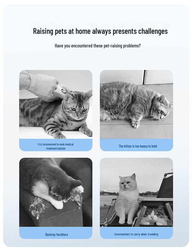 Portable Pet Airline Crate for Small & Medium Cats and Dogs