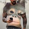 Summer New Men's T-shirt 3D Print Fun Gorilla Fashion Trend Street Comfortable Casual Top Round Neck Plus Size Short Sleeve