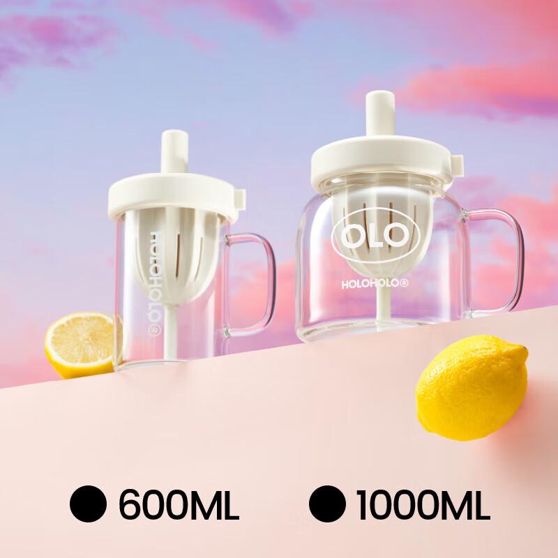 HOLOHOLO Acorn SE Glass Straw Cup