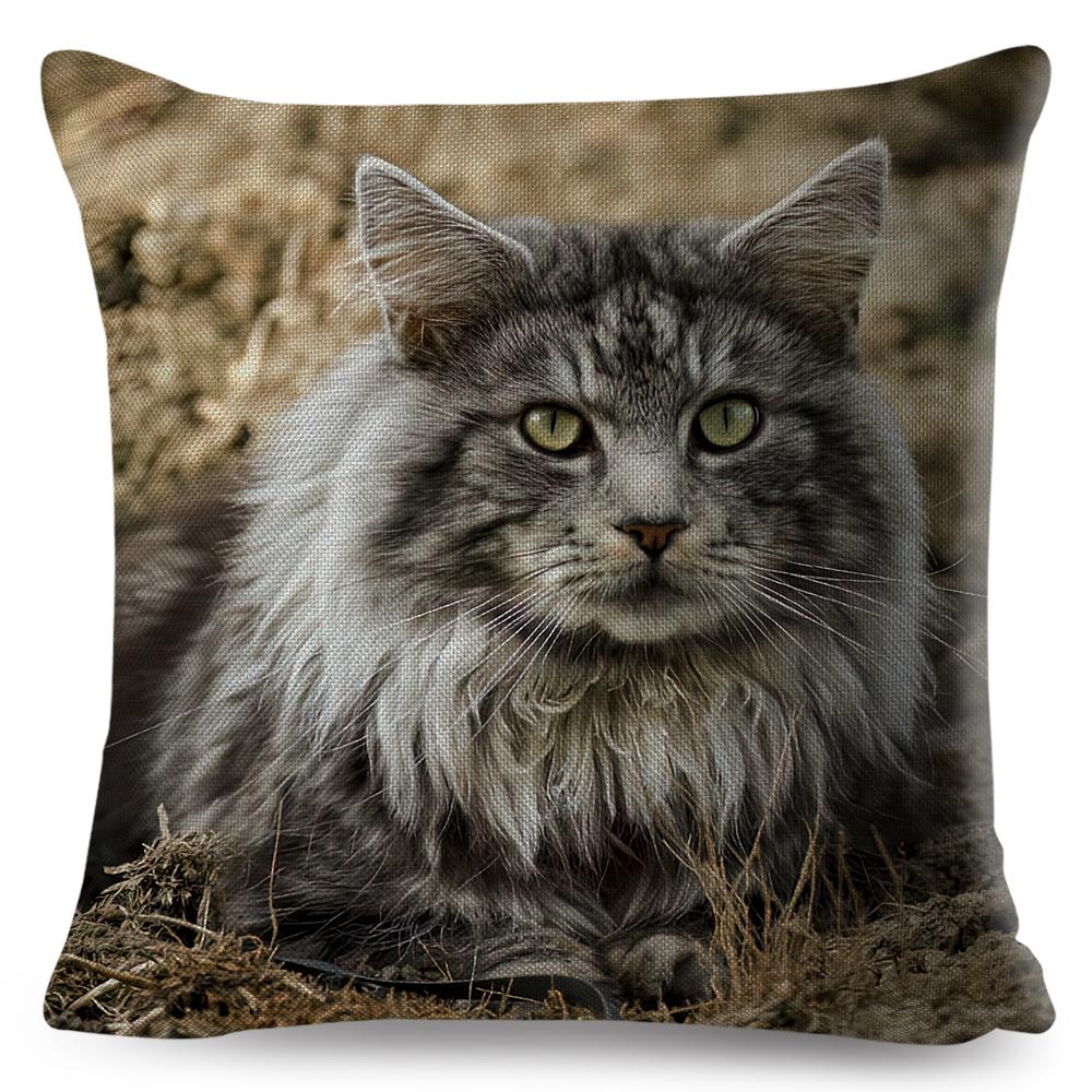 Maine Coon Cat Portrait Cushion Cover Realistic Animal Print Double Sided Soft Linen Home Decor Pillow Case