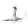Hilarious Big Booty Ghost Planter Succulent Planter Air Plant Display Indoor Planter Decor Planter Plant Pots Funny Prank Gift