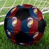 SIZE 5 FC Viktoria Plzeň Soccer Ball Colorful All Ages Machine Stitched PVC Competition Ready Durable High-Bounce