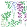 Somen Anbo Tenugui "Wisteria Flower" - Hand-dyed 100% Cotton, Tokuoka Fabric, Made In Japan, 35cm X 100cm - A Classic Japanese Floral Motif, Elegant