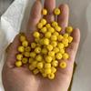 Multi-Color 6x8mm Glass Barrel Beads for Jewelry Making