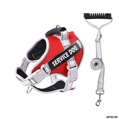 [100% Prevención de Escapes] Arnés para Perro Correa Arnés para Gato Correa Set de Arnés para Mascota, Rojo