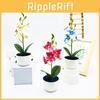 Phalaenopsis Potted Simulated Artificial Artificial Flower Desktop Ornament