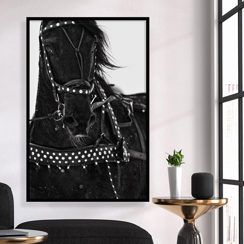 Black And White Animal Poster Horse Decoration Photo Print Picture Canvas Painting Wall Art Room Decor