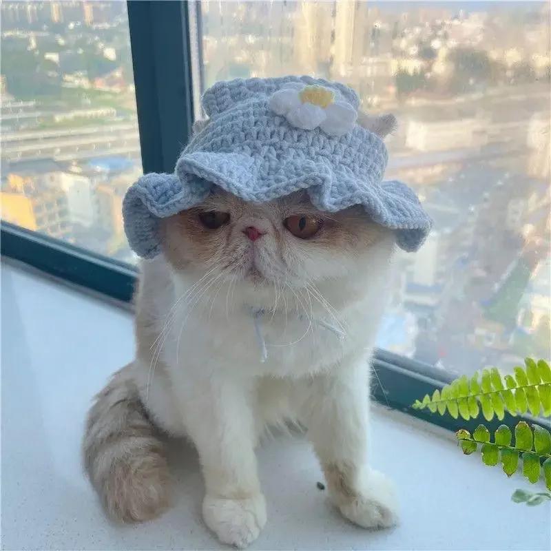 Cappello Gatto Carino Lavorato a Maglia per Animali Domestici Elastico Autunno Inverno Cuccioli Gattini Accessori per Foto di Festa Accessori per Animali Domestici